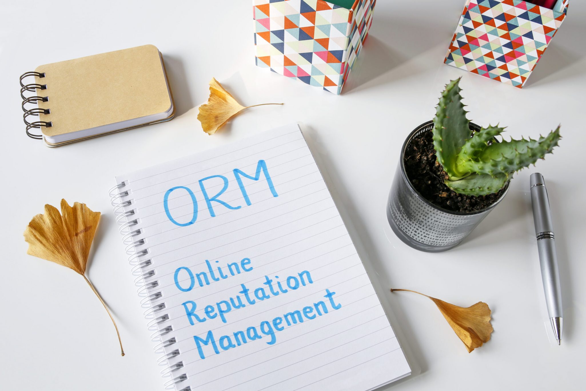 online reputation management services, orm, seo services