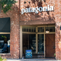 patagonia products and services store