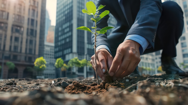 A person in a suit kneels on the ground, planting a small sapling in an urban environment with tall buildings in the background, symbolizing total corporate social responsibility.